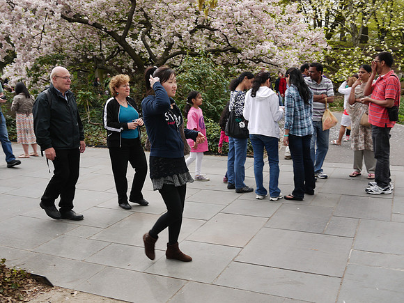 Hanami