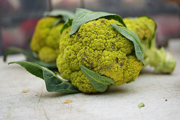 Greenmarket Broccoli