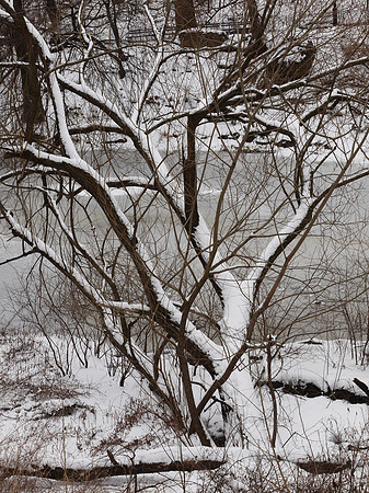 At The Lake, Central Park