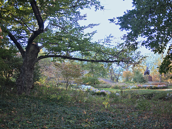 Near Greywacke Arch, Central Park