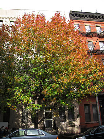 East 81st Street
