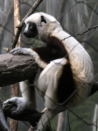 Hanging out