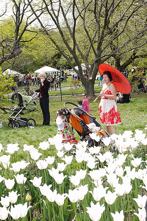 Hanami