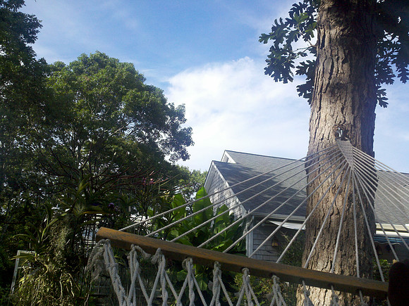 Hammock, East Hampton