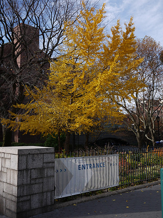 Theodore Roosevelt Park