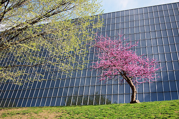 South facade, Metropolitan Museum of Art