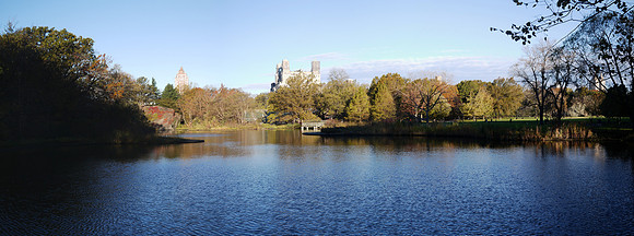 Turtle Pond