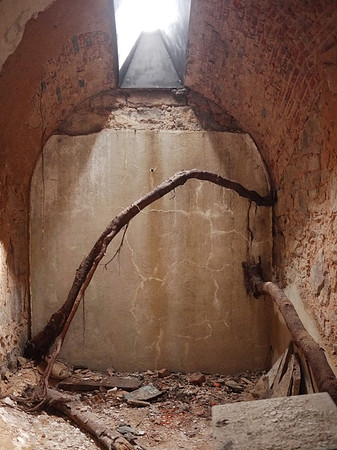 Tree roots growing through cell, Eastern State Penitentiary