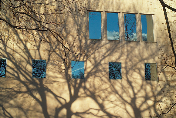 Art of the Facade (1)