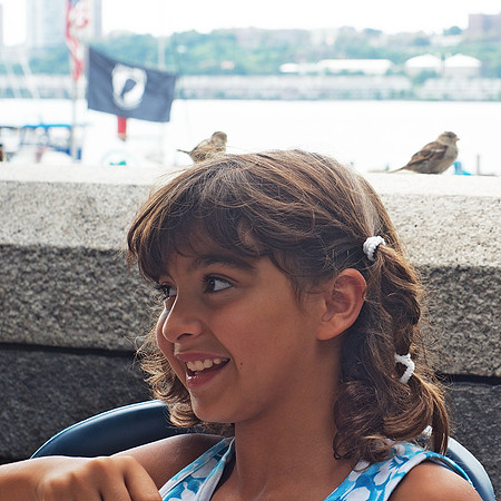 Queen of Sparrows
