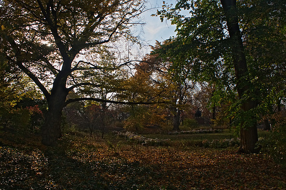 Near Greywacke Arch, Autumn