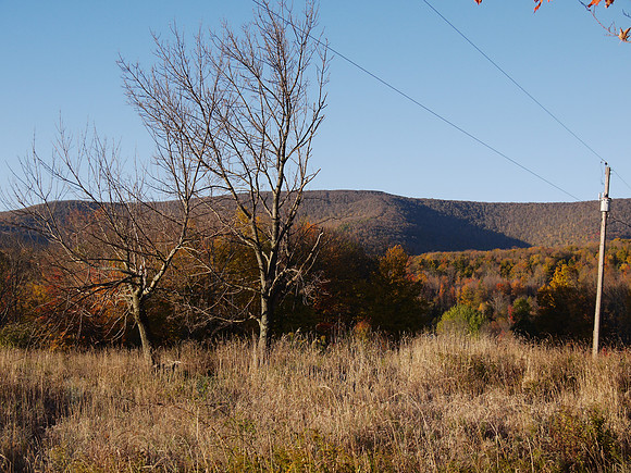 Prattsville NY