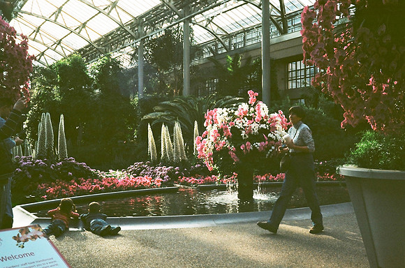 At Longwood Gardens conservatory