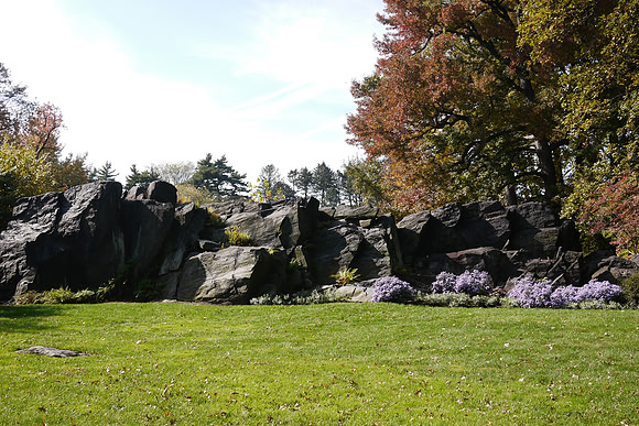 NY Botanical Garden