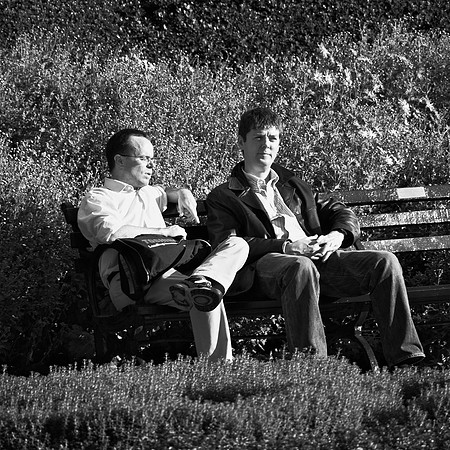 in the Conservancy Garden