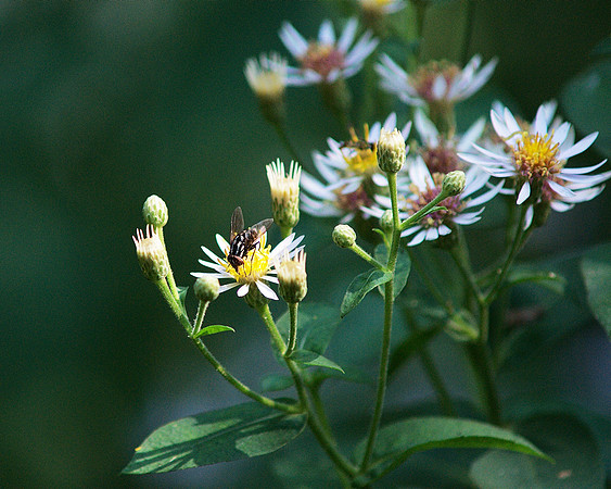 DSC04708