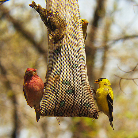 group portrait