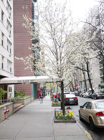 Yorkville
