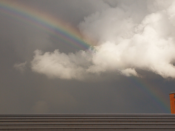 Rainbow, Harlem