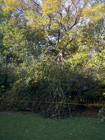 Central Park, after Irene