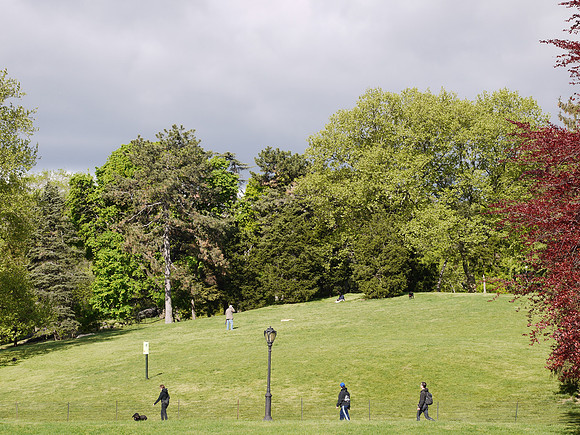 Cedar Hill, Central Park