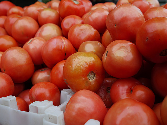 Greenmarket tomatos