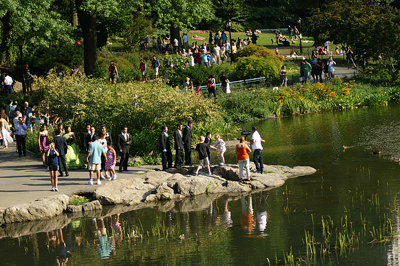 At The Pond, Central Park