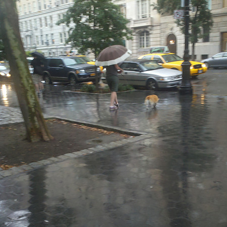 Rainy day, West 81st Street