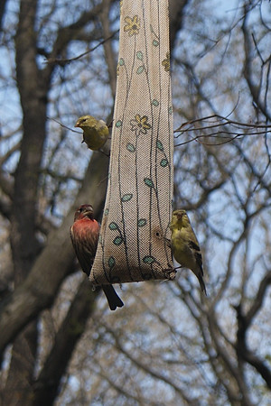 ok, everybody look at the camera and say "seeds"!