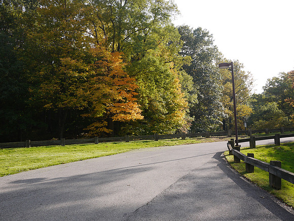 NY Botanical Garden