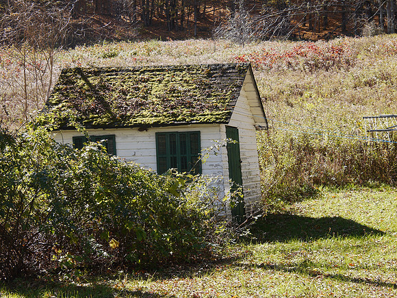 Greene County, NY