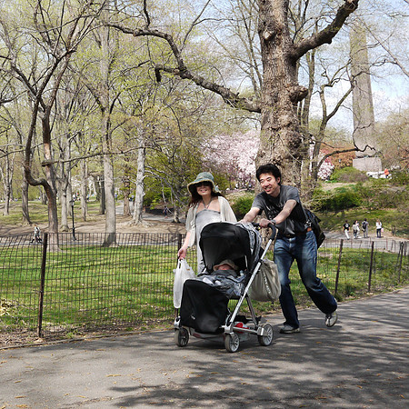 Sunday Afternoon, Central Park