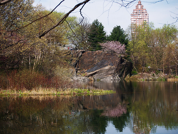 At Turtle Pond, Central Park
