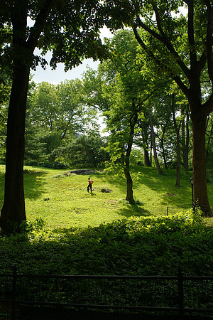 Central Park