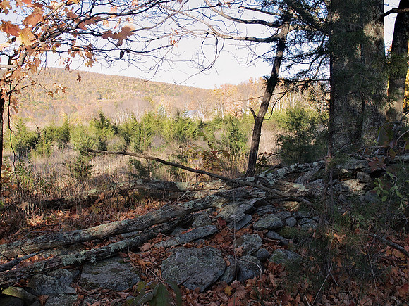 Prattsville NY