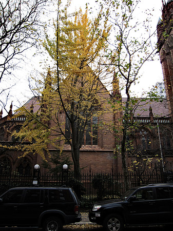 Church of the Holy Trinity, Yorkville