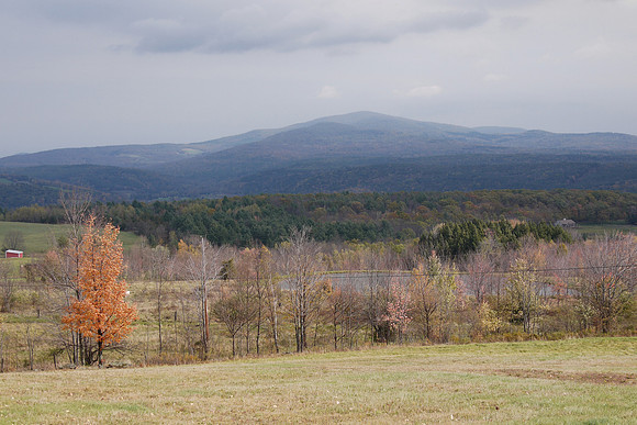 Beshroner Road, Prattsville NY