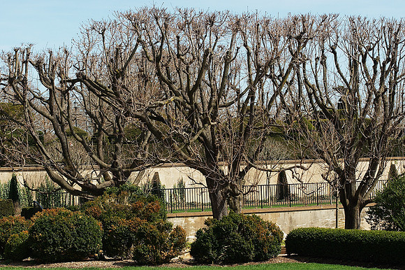 Longwood Gardens, Early Spring