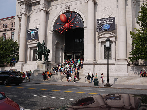 Museum of Natural History, New York