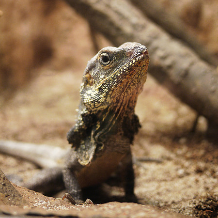 Get my good side