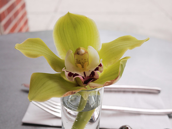 Orchid, sidewalk cafe, Hell's Kitchen