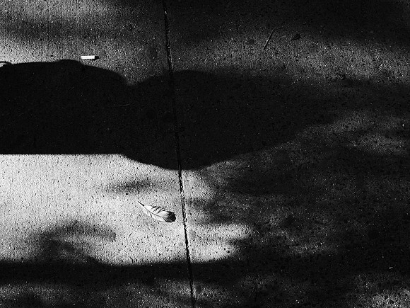 Traces: Smoker, Fire Hydrant, Pigeon, Tree