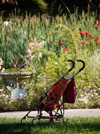 Brooklyn Botanic Garden
