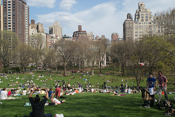 just a sunny afternoon in Central Park