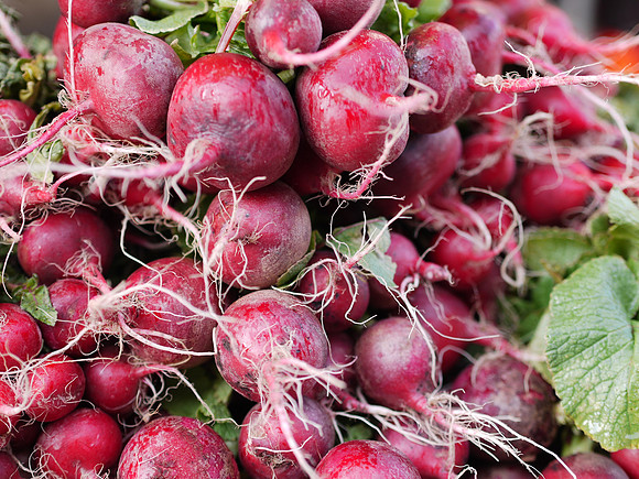 Radishes, Union Square Greenmarket