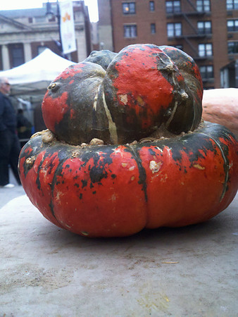 Squash, Union Square Greenmarket