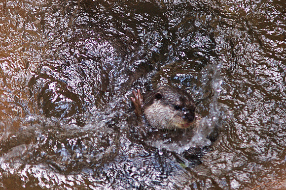 the water's fine!