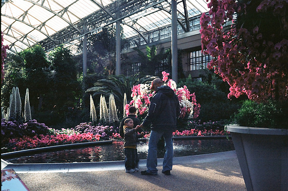 In Longwood Gardens conservatory