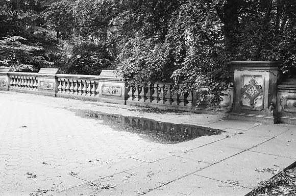 In Central Park
