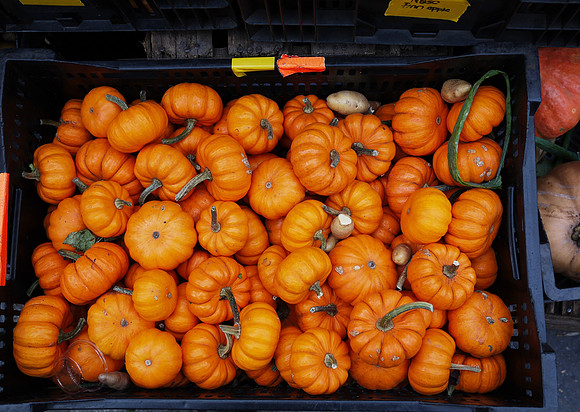 Tiny pumpkins